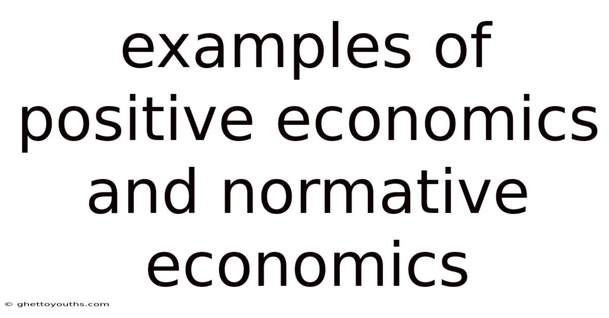 Examples Of Positive Economics And Normative Economics