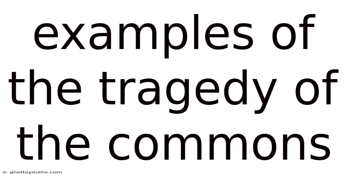 Examples Of The Tragedy Of The Commons