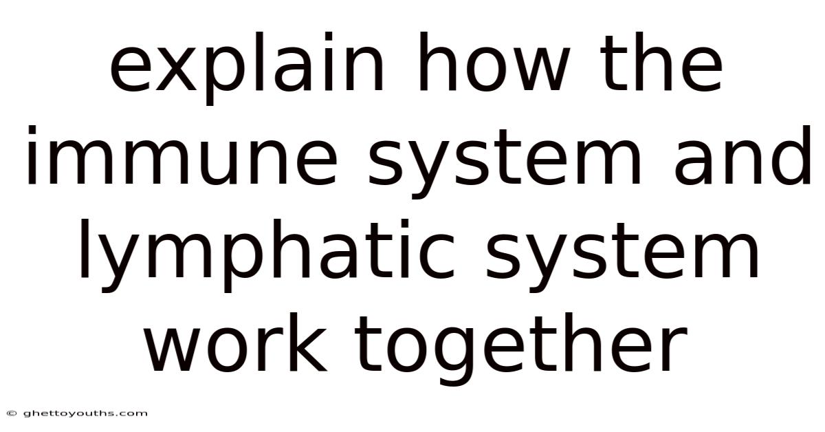 Explain How The Immune System And Lymphatic System Work Together