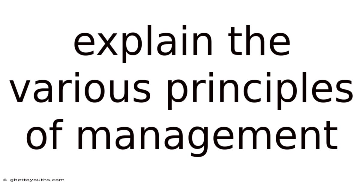 Explain The Various Principles Of Management