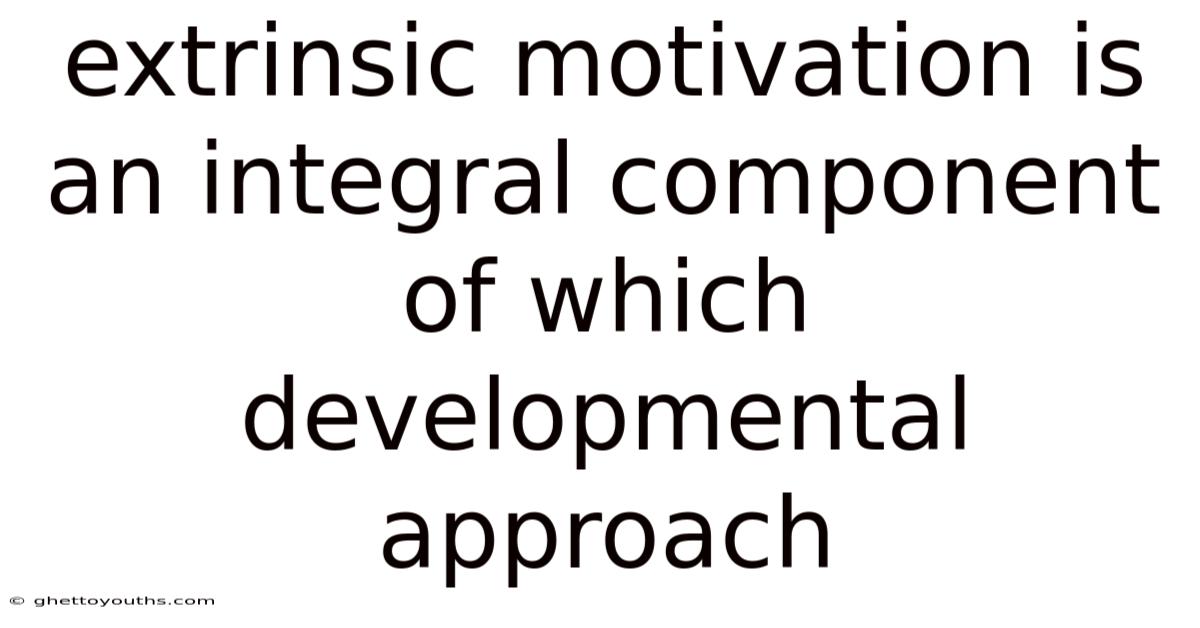 Extrinsic Motivation Is An Integral Component Of Which Developmental Approach