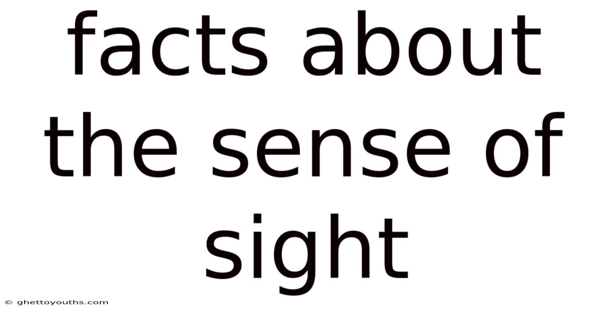 Facts About The Sense Of Sight