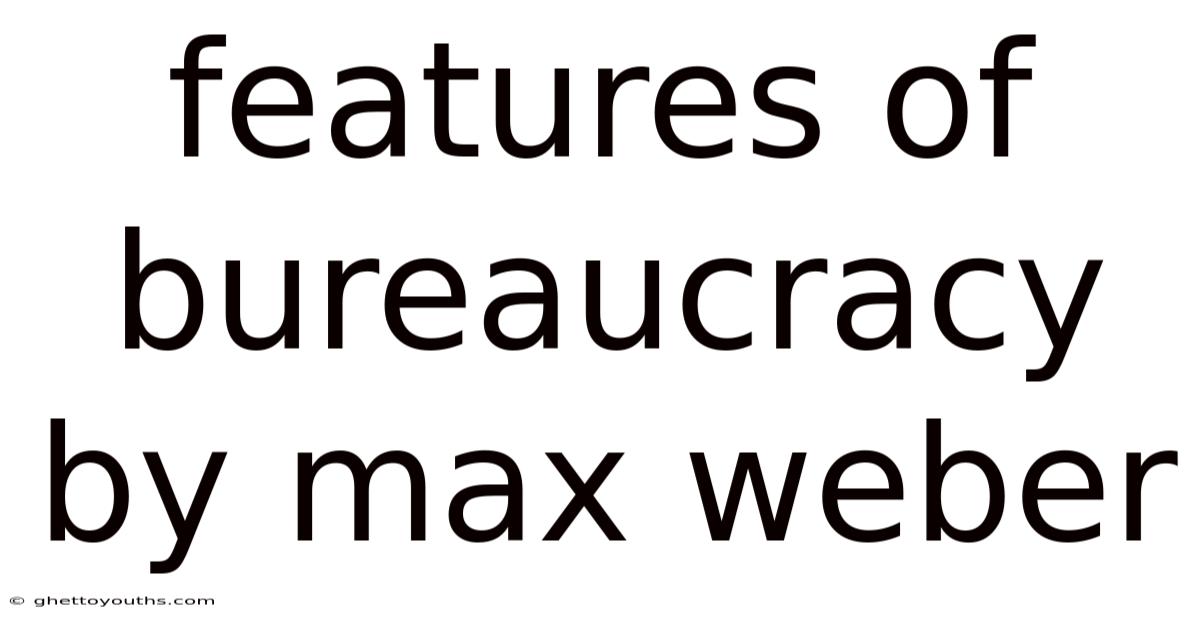 Features Of Bureaucracy By Max Weber