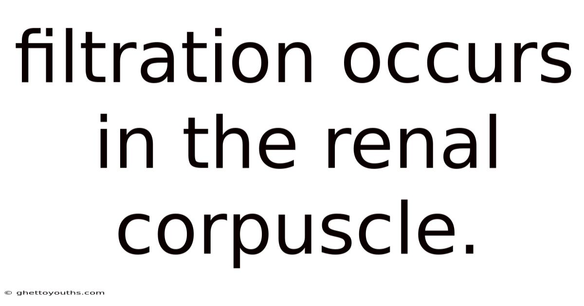 Filtration Occurs In The Renal Corpuscle.