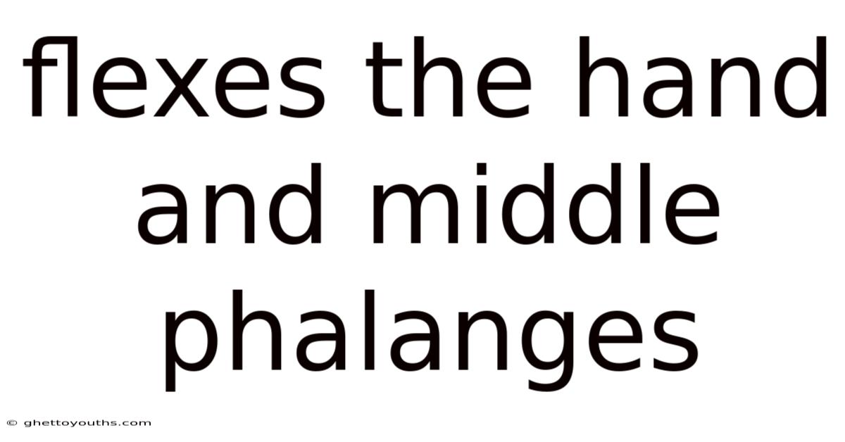 Flexes The Hand And Middle Phalanges