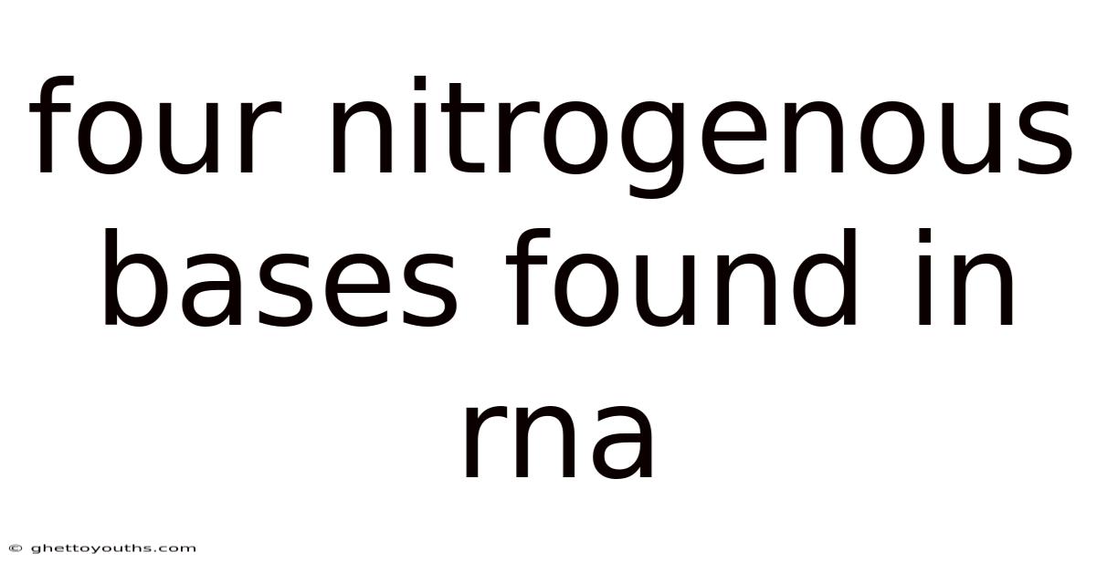 Four Nitrogenous Bases Found In Rna