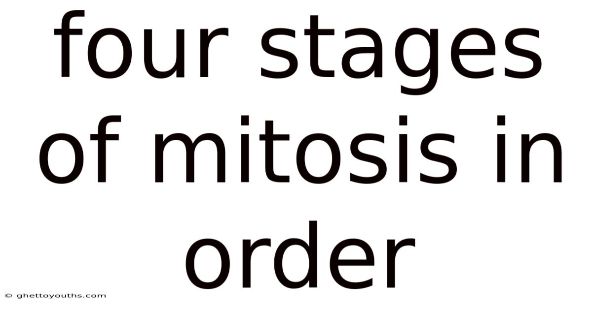 Four Stages Of Mitosis In Order