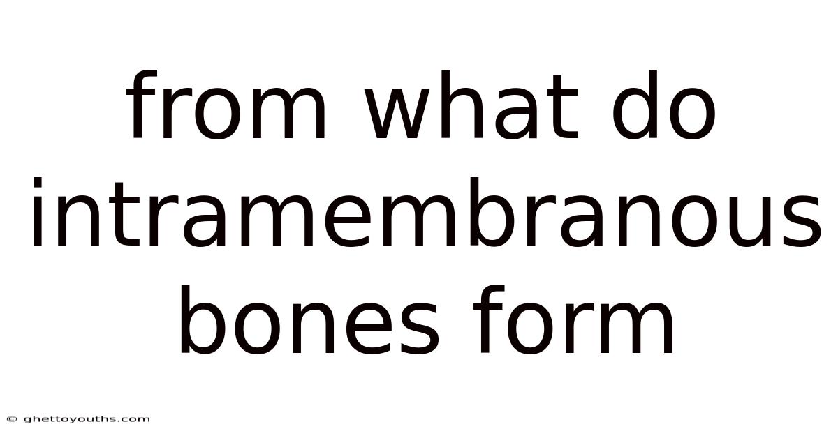 From What Do Intramembranous Bones Form