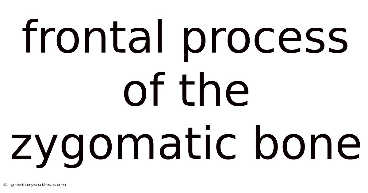 Frontal Process Of The Zygomatic Bone
