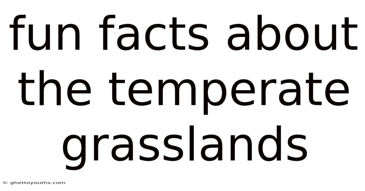 Fun Facts About The Temperate Grasslands