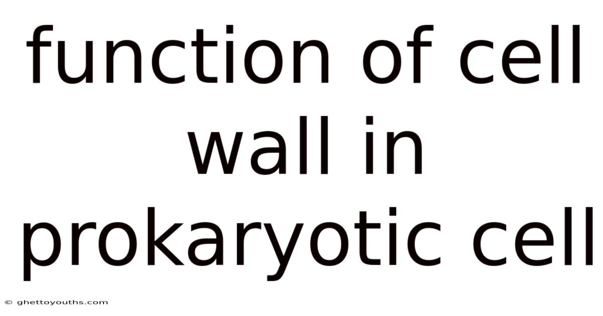 Function Of Cell Wall In Prokaryotic Cell
