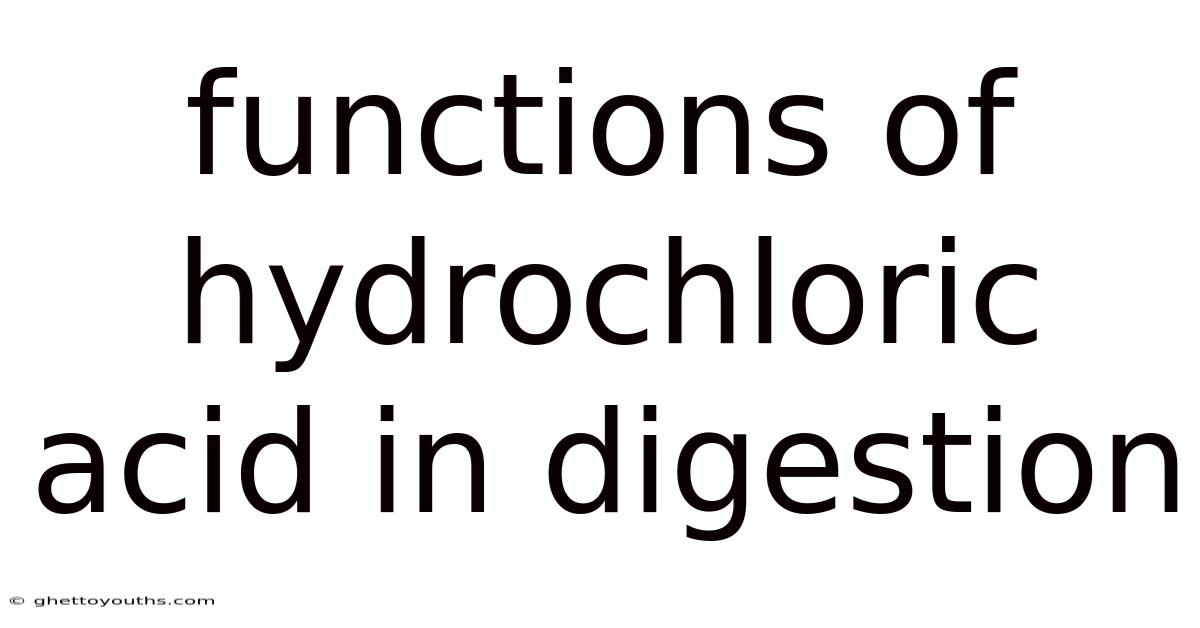 Functions Of Hydrochloric Acid In Digestion