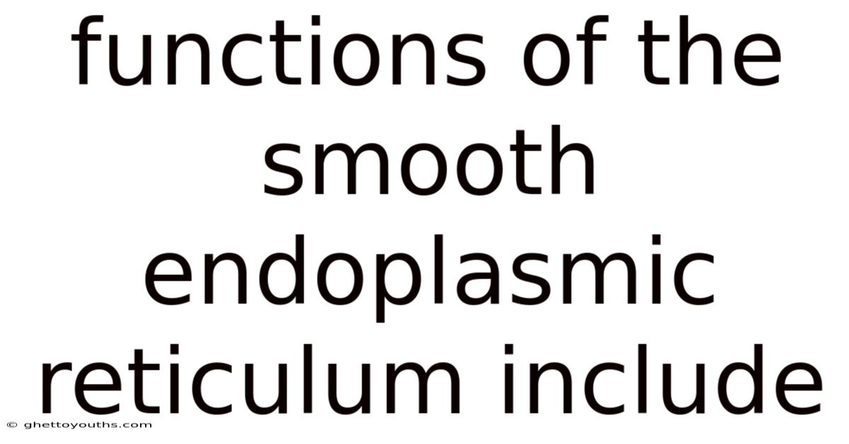 Functions Of The Smooth Endoplasmic Reticulum Include