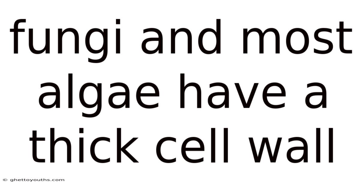 Fungi And Most Algae Have A Thick Cell Wall