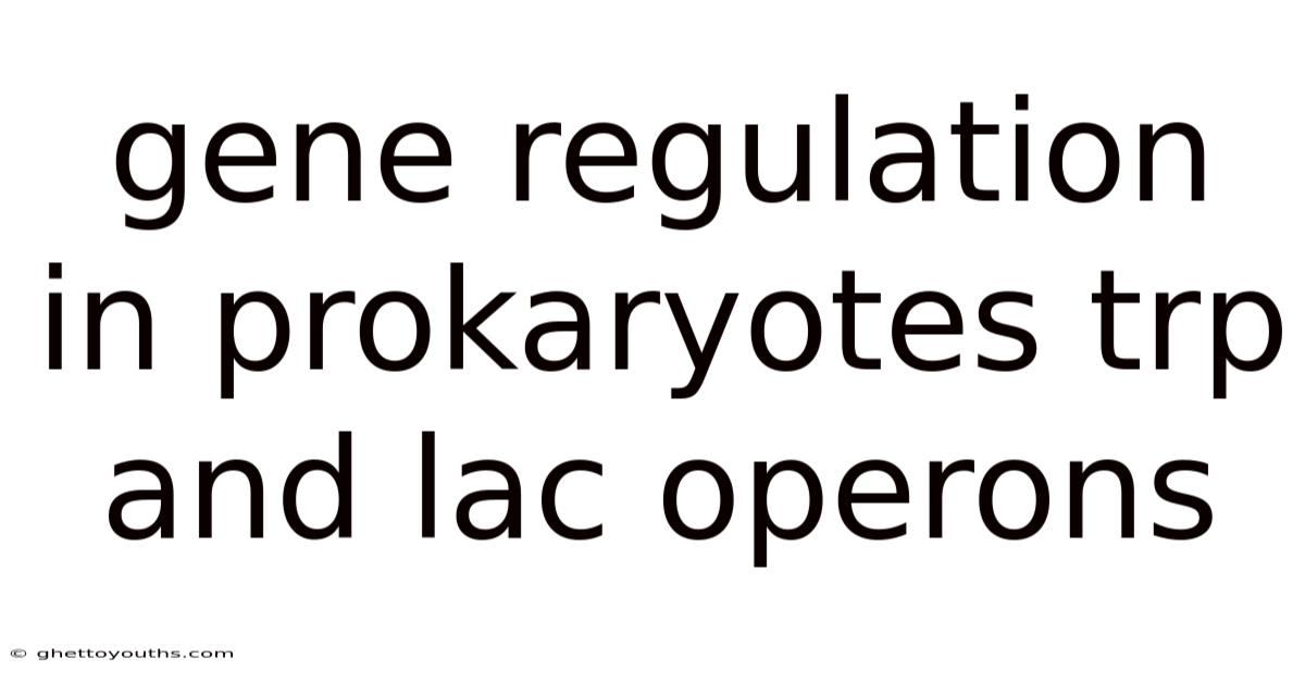Gene Regulation In Prokaryotes Trp And Lac Operons