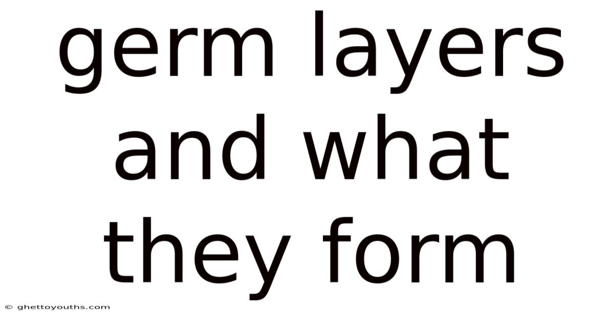 Germ Layers And What They Form