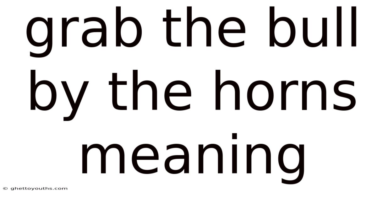 Grab The Bull By The Horns Meaning