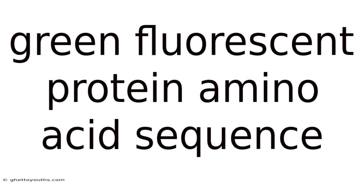 Green Fluorescent Protein Amino Acid Sequence