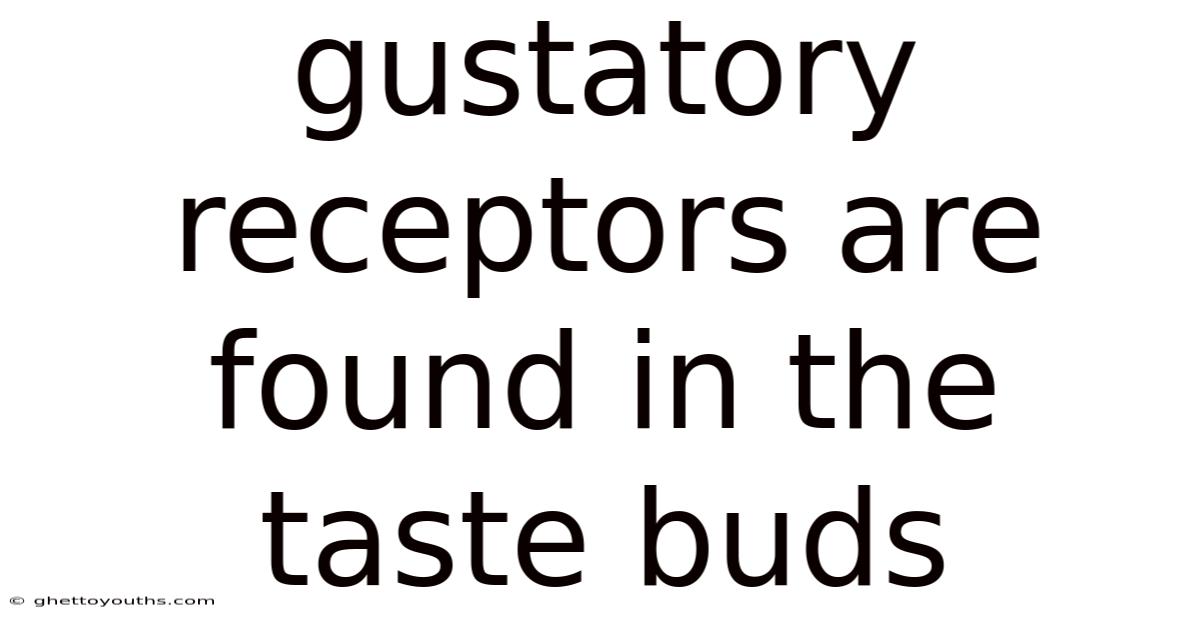 Gustatory Receptors Are Found In The Taste Buds