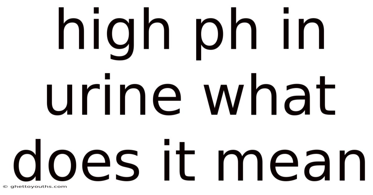 High Ph In Urine What Does It Mean