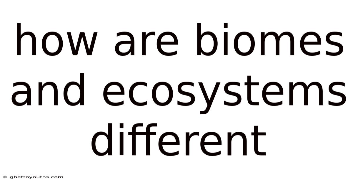 How Are Biomes And Ecosystems Different