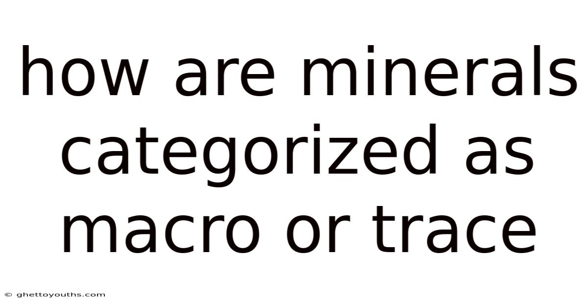 How Are Minerals Categorized As Macro Or Trace