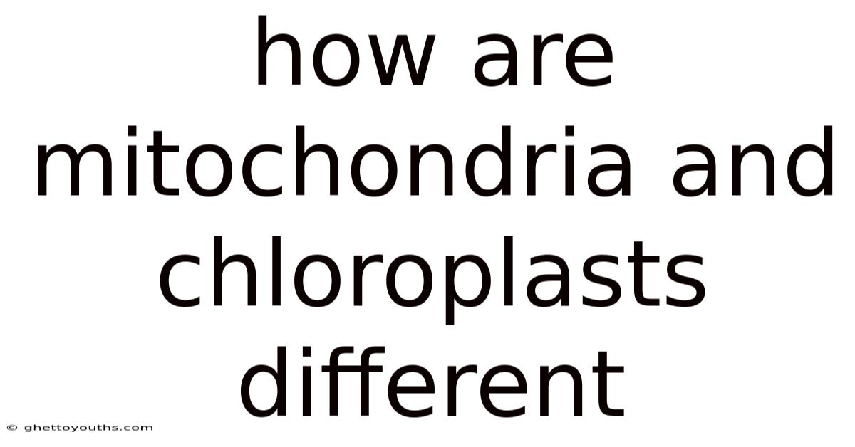 How Are Mitochondria And Chloroplasts Different