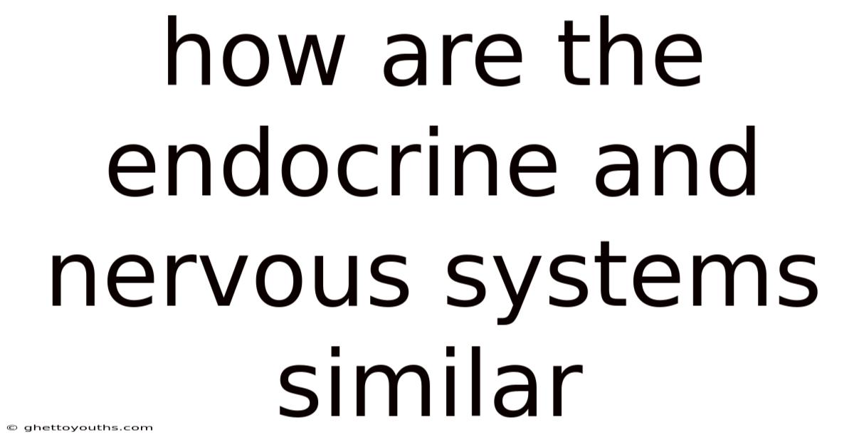 How Are The Endocrine And Nervous Systems Similar