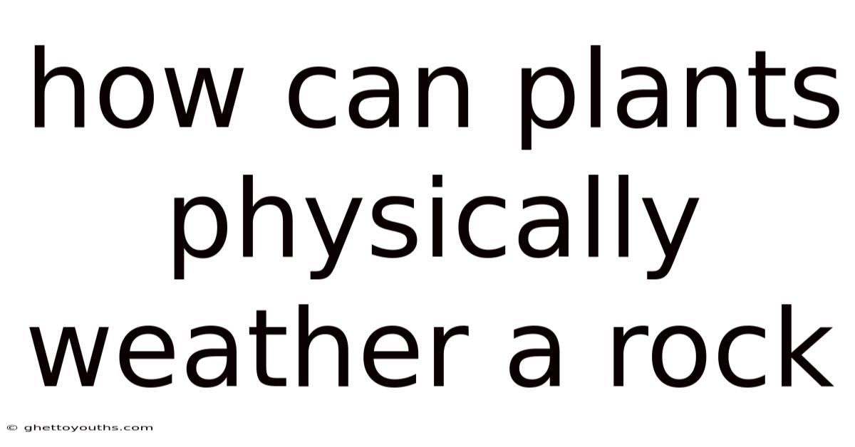 How Can Plants Physically Weather A Rock