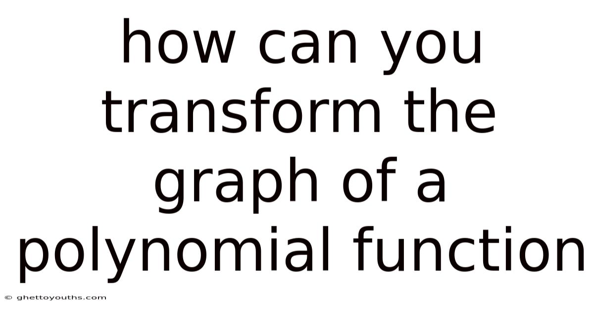 How Can You Transform The Graph Of A Polynomial Function