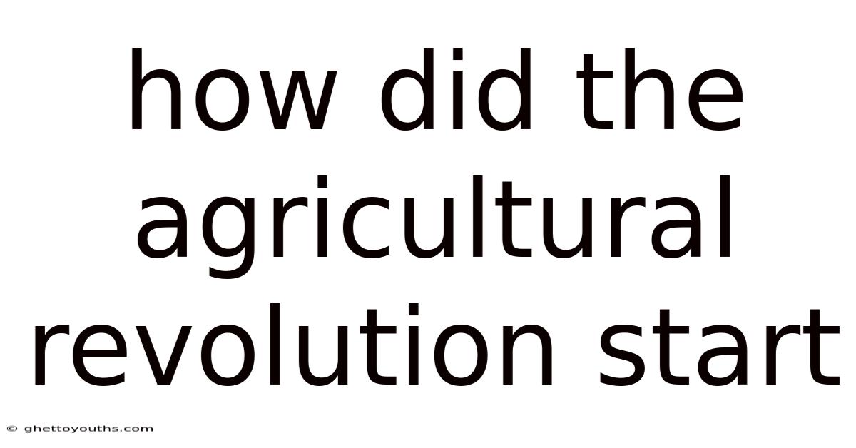 How Did The Agricultural Revolution Start