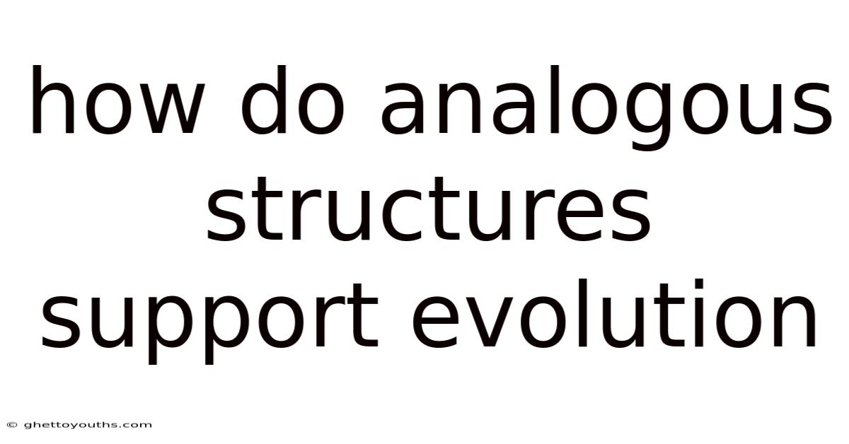 How Do Analogous Structures Support Evolution