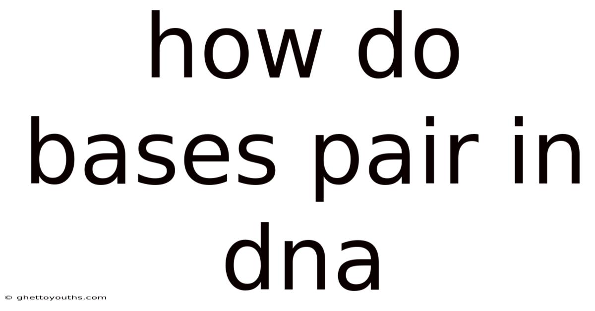 How Do Bases Pair In Dna