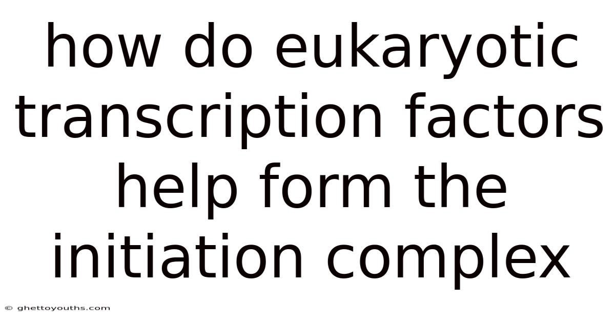 How Do Eukaryotic Transcription Factors Help Form The Initiation Complex