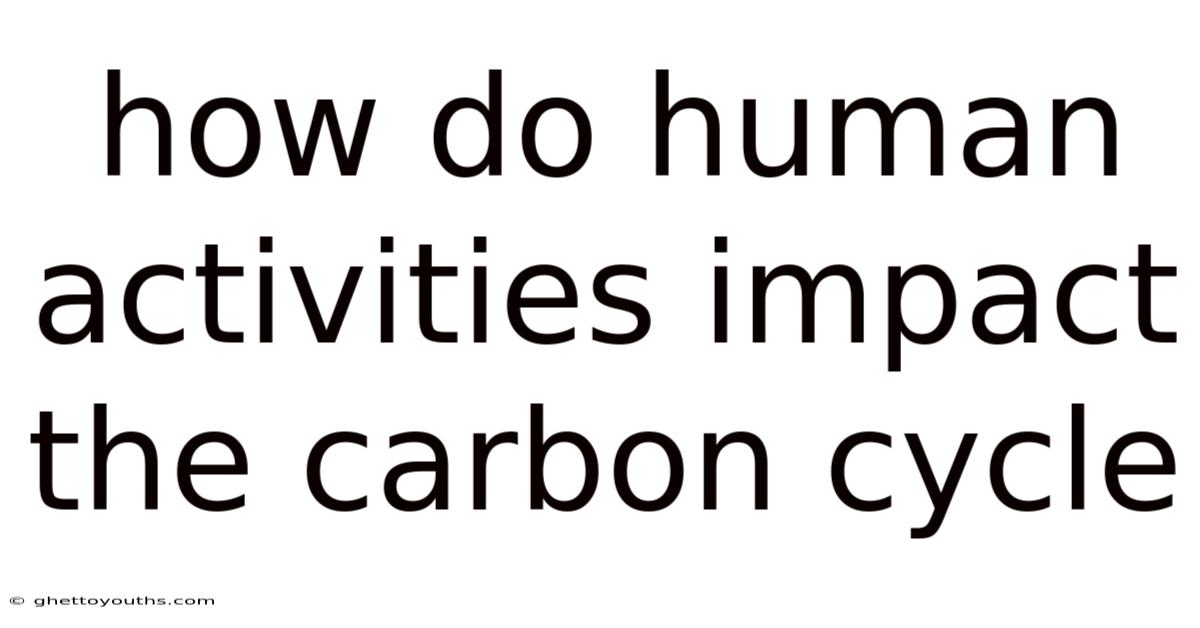 How Do Human Activities Impact The Carbon Cycle