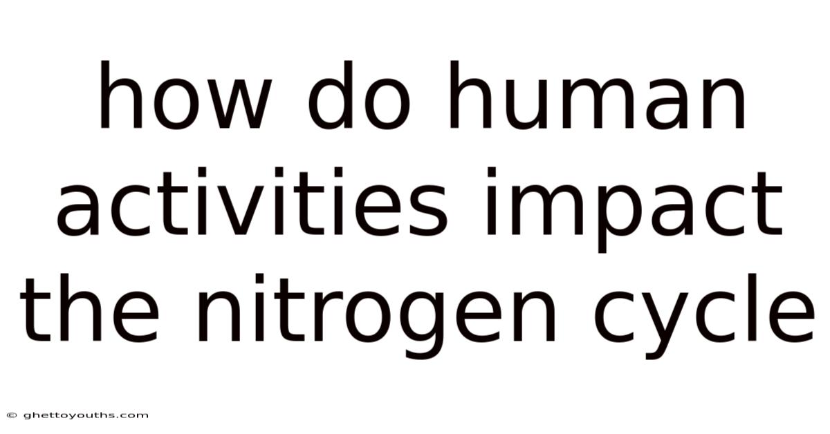 How Do Human Activities Impact The Nitrogen Cycle