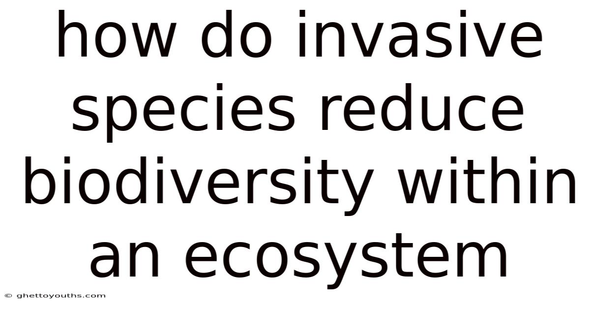 How Do Invasive Species Reduce Biodiversity Within An Ecosystem
