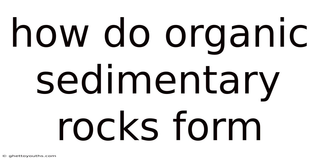 How Do Organic Sedimentary Rocks Form