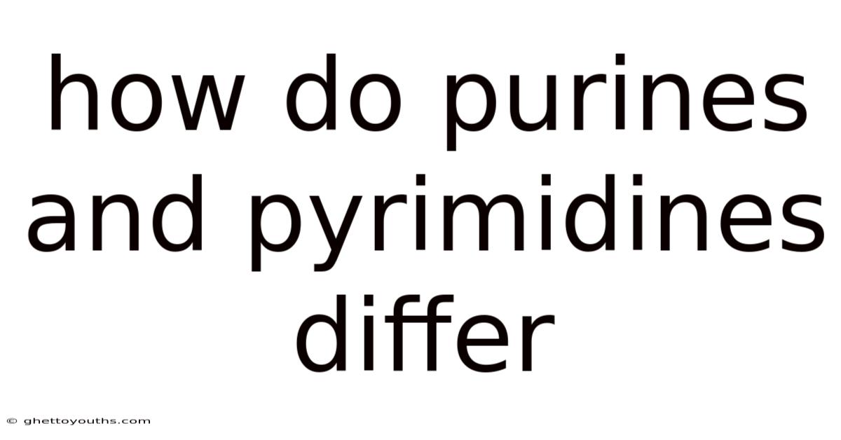 How Do Purines And Pyrimidines Differ
