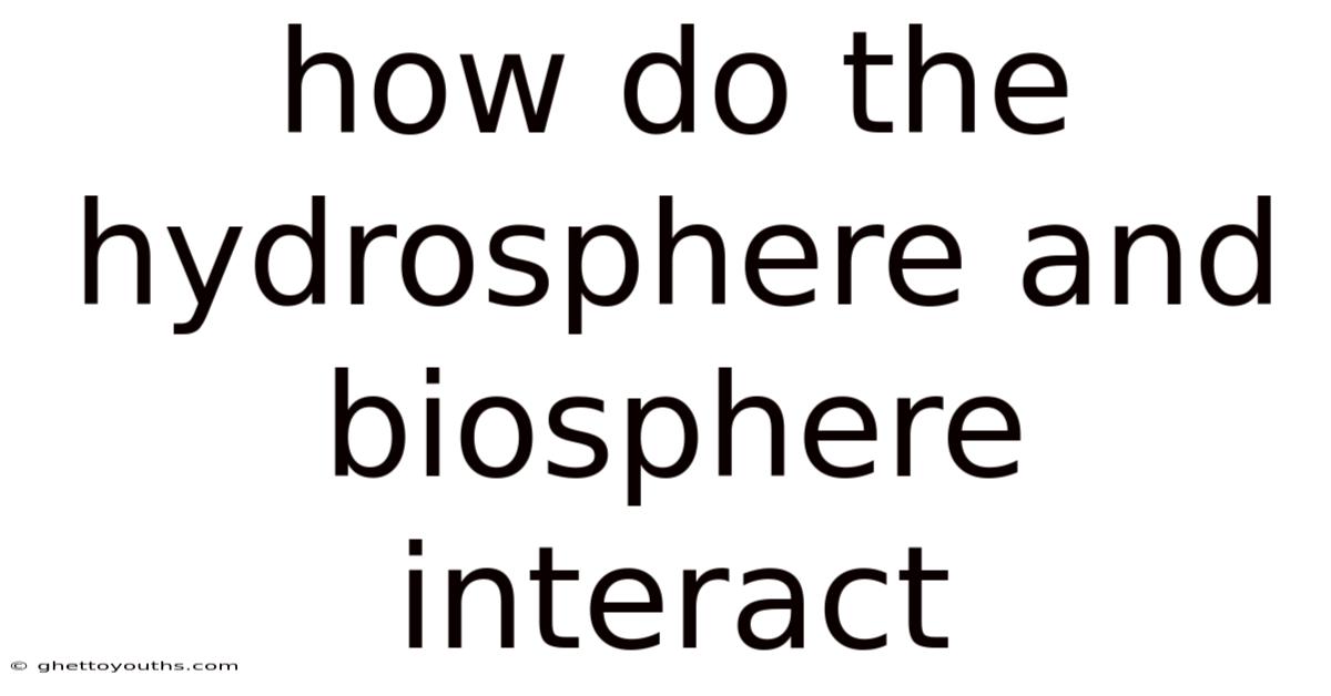 How Do The Hydrosphere And Biosphere Interact