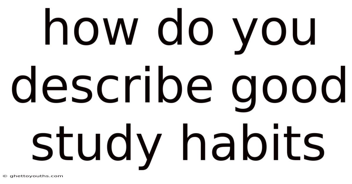 How Do You Describe Good Study Habits