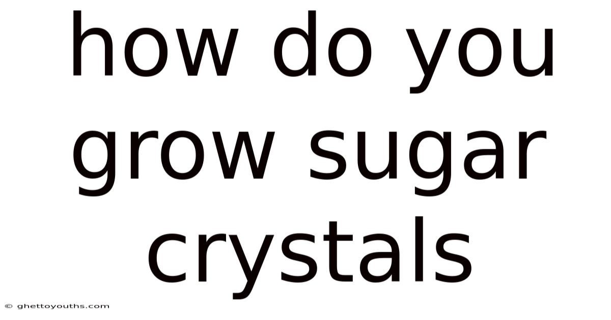 How Do You Grow Sugar Crystals