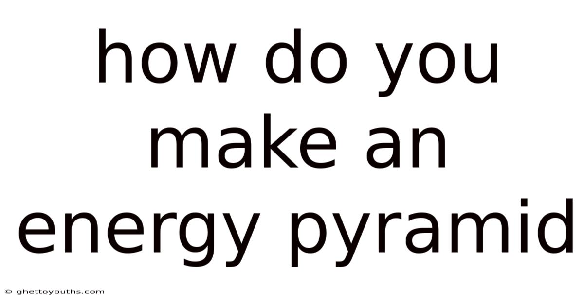How Do You Make An Energy Pyramid