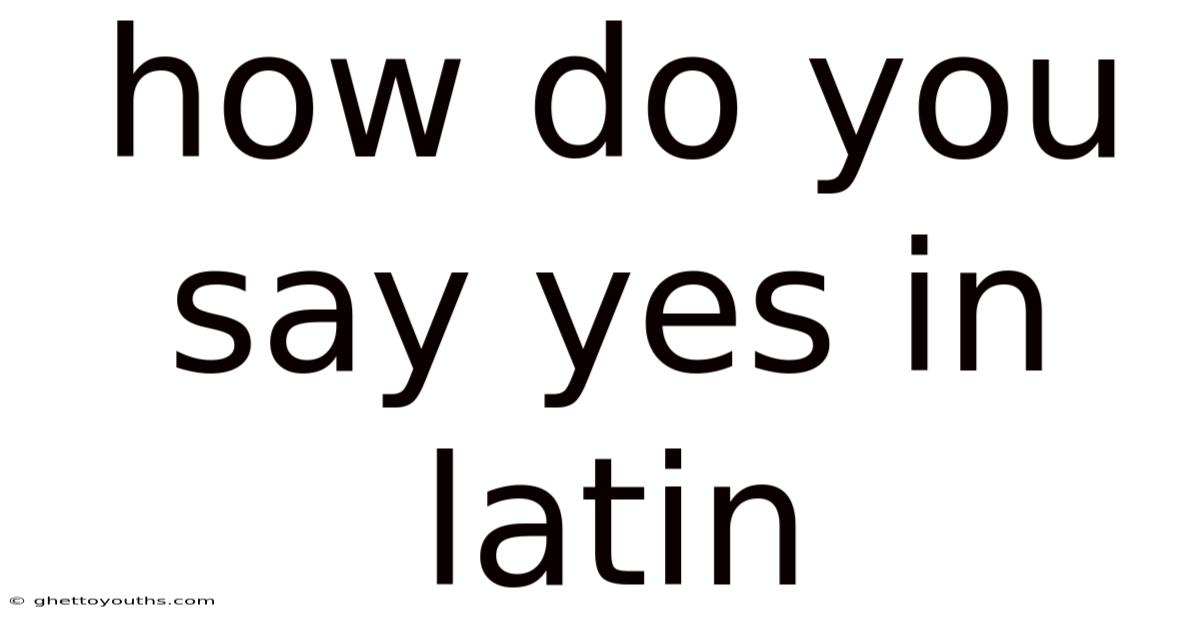 How Do You Say Yes In Latin