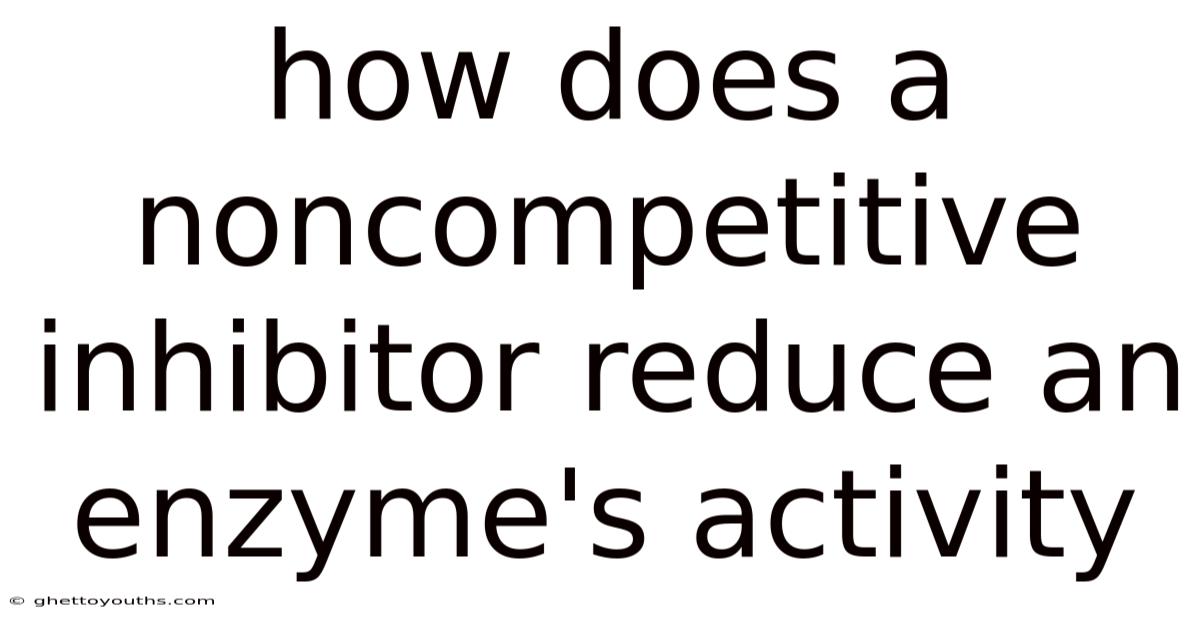 How Does A Noncompetitive Inhibitor Reduce An Enzyme's Activity