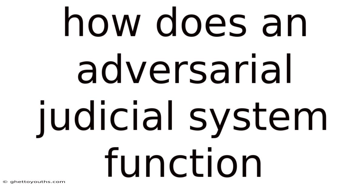How Does An Adversarial Judicial System Function
