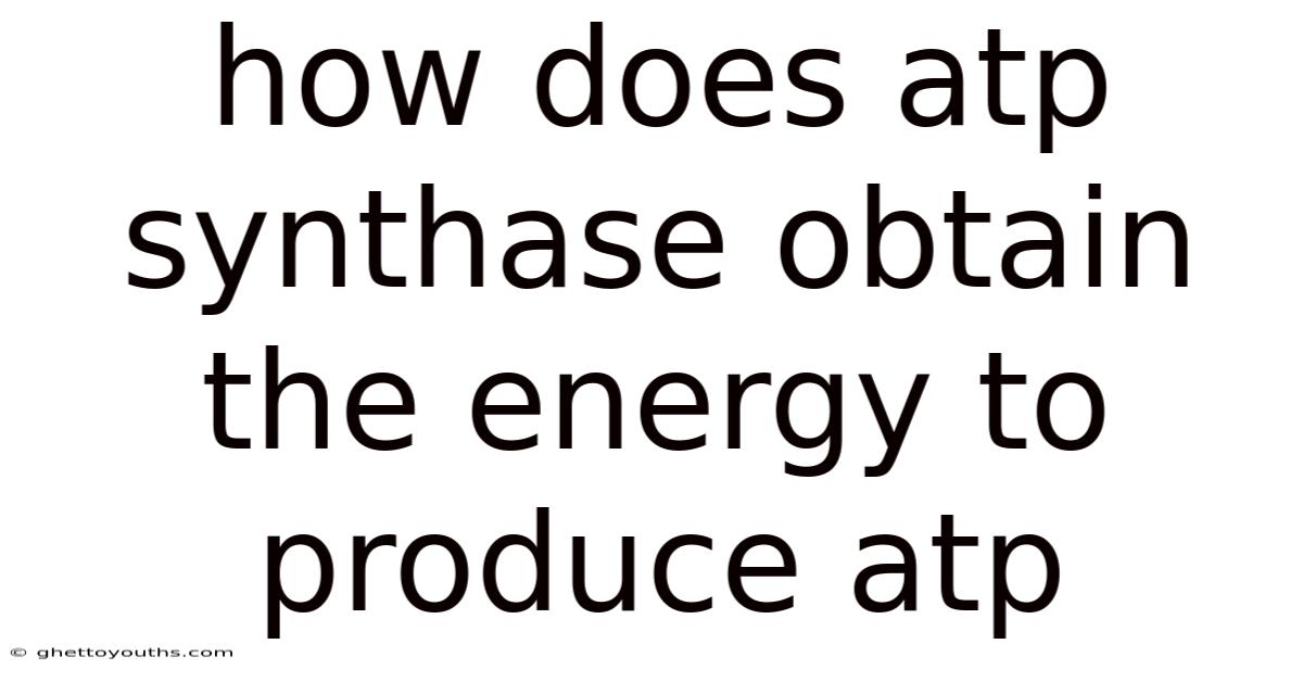 How Does Atp Synthase Obtain The Energy To Produce Atp