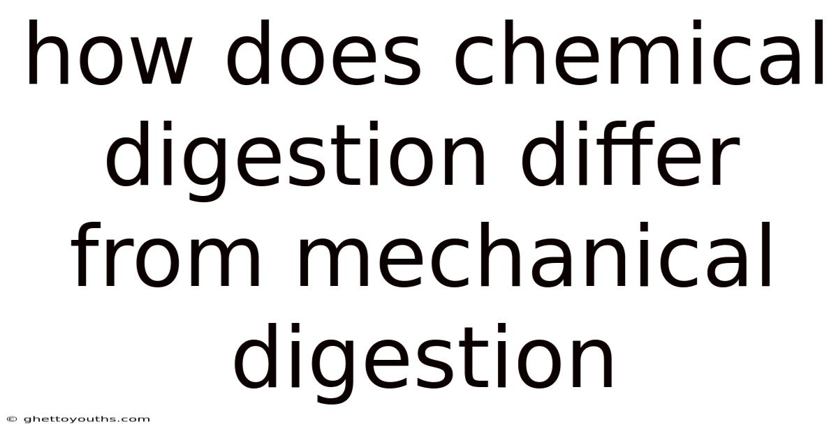 How Does Chemical Digestion Differ From Mechanical Digestion