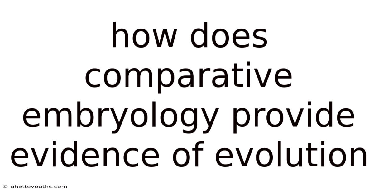 How Does Comparative Embryology Provide Evidence Of Evolution