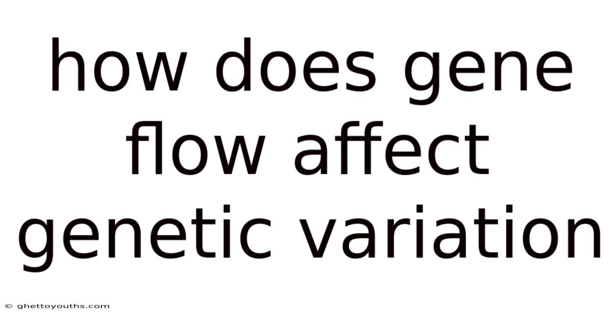 How Does Gene Flow Affect Genetic Variation